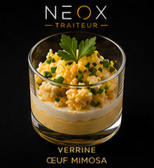 Verrine NEOX Traiteur